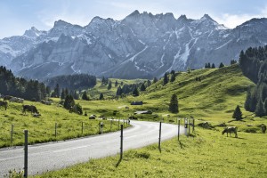 Reference: STS8465
Switzerland. ganz natuerlich. 
Auf dem Weg zur Schwaegalp im Kanton Appenzell.

Switzerland. get natural. 
On the way to Schwaegalp in the canton of Appenzell.

Suisse. tout naturellement. 
Sur le chemin de Schwaegalp dans le canton d'Appenzell.

Copyright by: Switzerland Tourism - By-Line: swiss-image.ch / Nico Schaerer