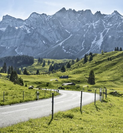 Reference: STS8465
Switzerland. ganz natuerlich. 
Auf dem Weg zur Schwaegalp im Kanton Appenzell.

Switzerland. get natural. 
On the way to Schwaegalp in the canton of Appenzell.

Suisse. tout naturellement. 
Sur le chemin de Schwaegalp dans le canton d'Appenzell.

Copyright by: Switzerland Tourism - By-Line: swiss-image.ch / Nico Schaerer