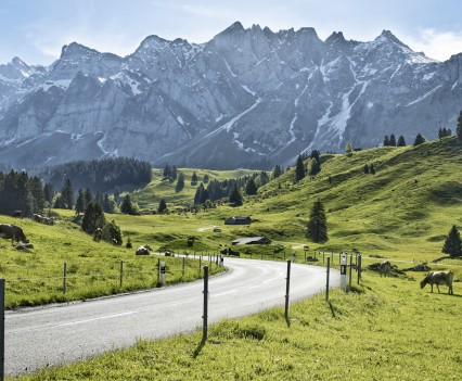 Reference: STS8465
Switzerland. ganz natuerlich. 
Auf dem Weg zur Schwaegalp im Kanton Appenzell.

Switzerland. get natural. 
On the way to Schwaegalp in the canton of Appenzell.

Suisse. tout naturellement. 
Sur le chemin de Schwaegalp dans le canton d'Appenzell.

Copyright by: Switzerland Tourism - By-Line: swiss-image.ch / Nico Schaerer