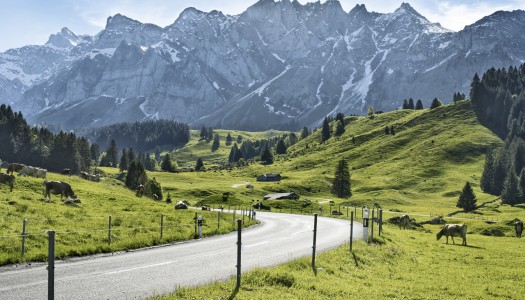 Switzerland Tourism: relaxing and soul calming experiences