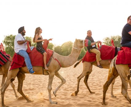 Camel rides