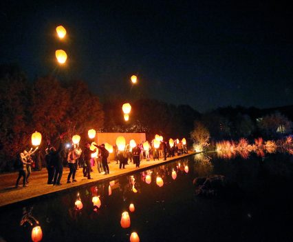 Chinese lanterns