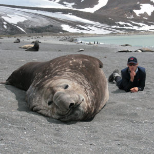 Elephant Seal and George Bullard on South Georgia