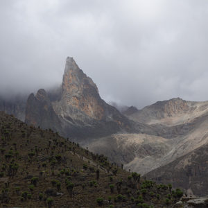 Mt Kenya, George Bullard