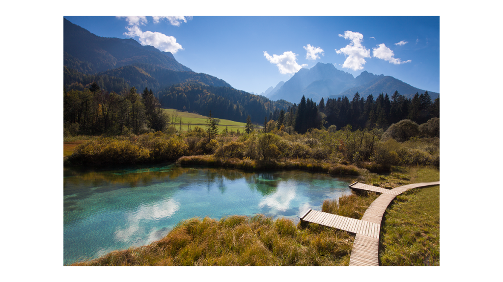 Slovenia - forests