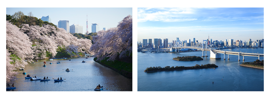 Tokyo in the summer