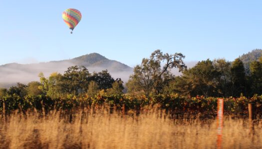 5 things to do whilst in Napa Valley